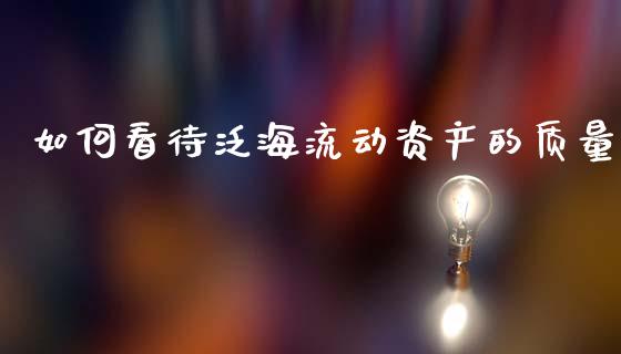 如何看待泛海流动资产的质量_https://wap.letulww.com_投资策略_第1张