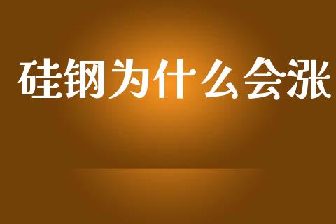 硅钢为什么会涨_https://wap.letulww.com_投资策略_第1张