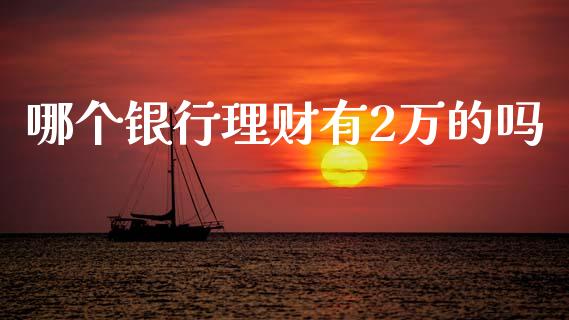 哪个银行理财有2万的吗_https://wap.letulww.com_投资管理_第1张