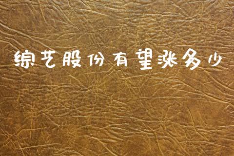 综艺股份有望涨多少_https://wap.letulww.com_投资策略_第1张
