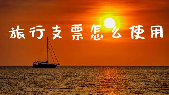 旅行支票怎么使用_https://wap.letulww.com_投资管理_第1张