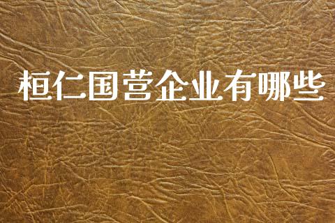 桓仁国营企业有哪些_https://wap.letulww.com_融资租赁_第1张