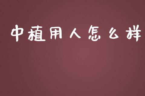 中植用人怎么样_https://wap.letulww.com_融资租赁_第1张