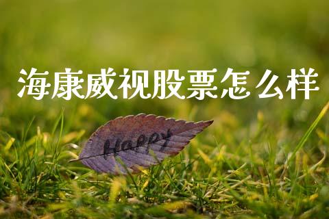 海康威视股票怎么样_https://wap.letulww.com_投资管理_第1张