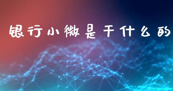 银行小微是干什么的_https://wap.letulww.com_投资策略_第1张
