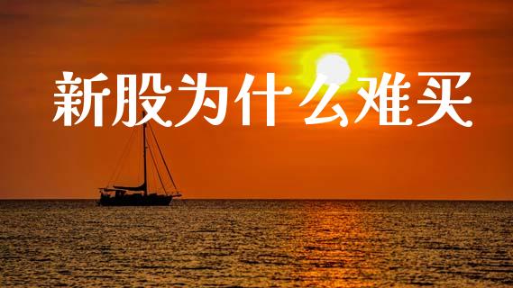 新股为什么难买_https://wap.letulww.com_投资策略_第1张