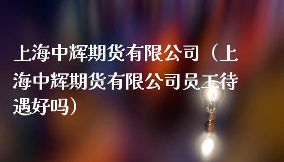 上海中辉期货有限公司（上海中辉期货有限公司员工待遇好吗）_https://wap.letulww.com_投资策略_第1张