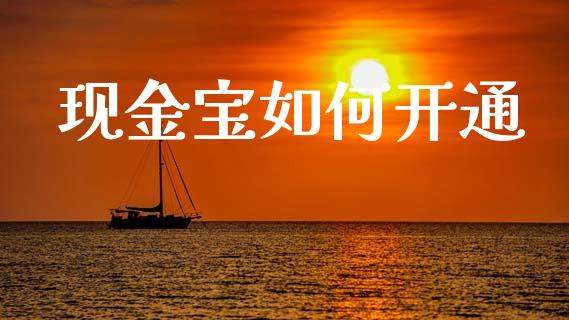现金宝如何开通_https://wap.letulww.com_投资策略_第1张