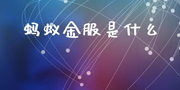 蚂蚁金服是什么_https://wap.letulww.com_投资策略_第1张