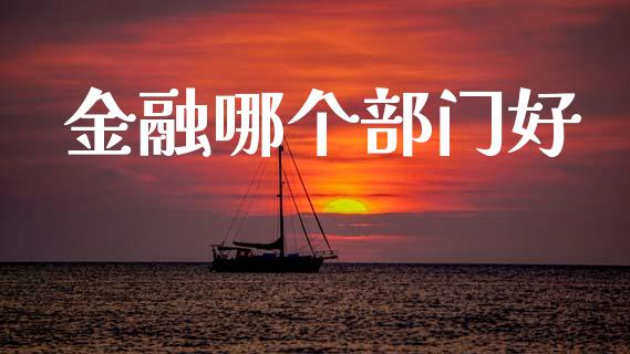 金融哪个部门好_https://wap.letulww.com_融资租赁_第1张