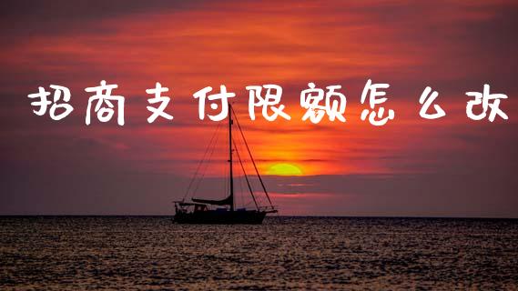 招商支付限额怎么改_https://wap.letulww.com_投资策略_第1张