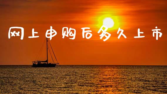 网上申购后多久上市_https://wap.letulww.com_投资管理_第1张