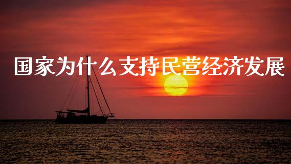 国家为什么支持民营经济发展_https://wap.letulww.com_投资策略_第1张