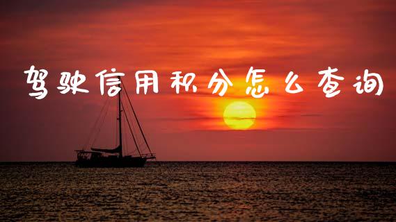 驾驶信用积分怎么查询_https://wap.letulww.com_投资策略_第1张