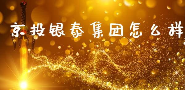 京投银泰集团怎么样_https://wap.letulww.com_投资策略_第1张