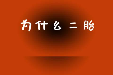 为什么二胎_https://wap.letulww.com_投资管理_第1张