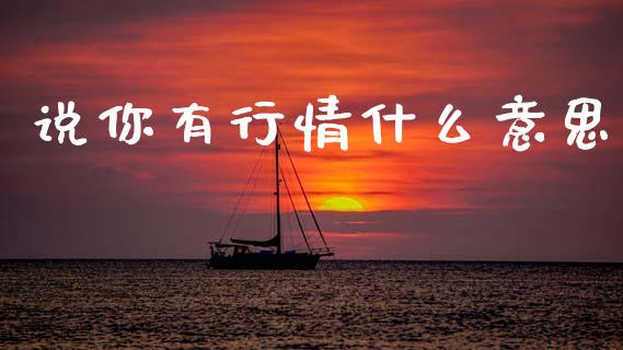说你有行情什么意思_https://wap.letulww.com_融资租赁_第1张