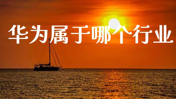 华为属于哪个行业_https://wap.letulww.com_投资管理_第1张
