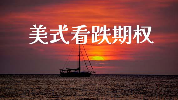 美式看跌期权_https://wap.letulww.com_投资管理_第1张