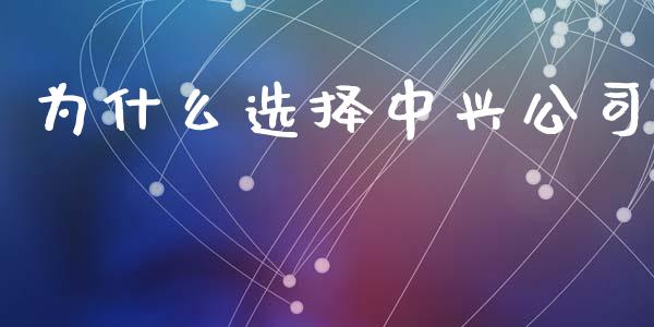 为什么选择中兴公司_https://wap.letulww.com_投资策略_第1张