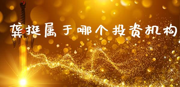 龚挺属于哪个投资机构_https://wap.letulww.com_投资策略_第1张