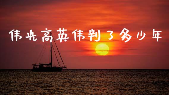 伟光高英伟判了多少年_https://wap.letulww.com_投资策略_第1张