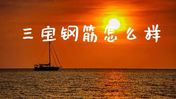 三宝钢筋怎么样_https://wap.letulww.com_融资租赁_第1张