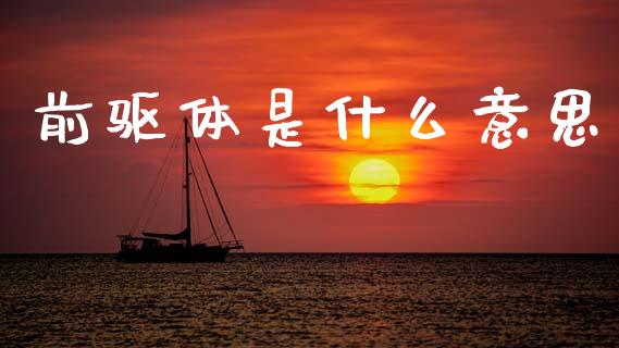 前驱体是什么意思_https://wap.letulww.com_融资租赁_第1张