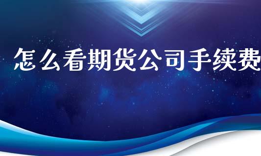 怎么看期货公司手续费_https://wap.letulww.com_外汇交易_第1张