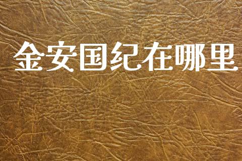 金安国纪在哪里_https://wap.letulww.com_投资策略_第1张