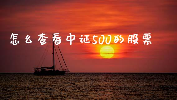 怎么查看中证500的股票_https://wap.letulww.com_融资租赁_第1张