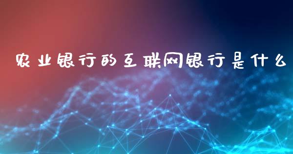 农业银行的互联网银行是什么_https://wap.letulww.com_投资策略_第1张