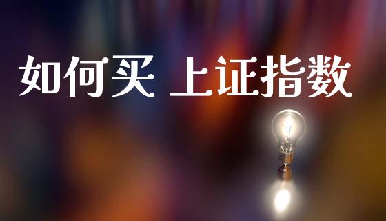 如何买 上证指数_https://wap.letulww.com_投资策略_第1张