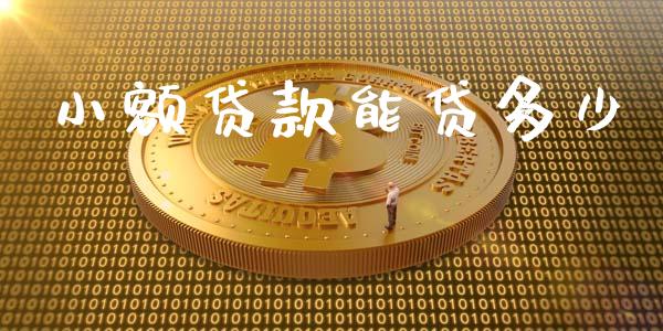 小额贷款能贷多少_https://wap.letulww.com_投资管理_第1张
