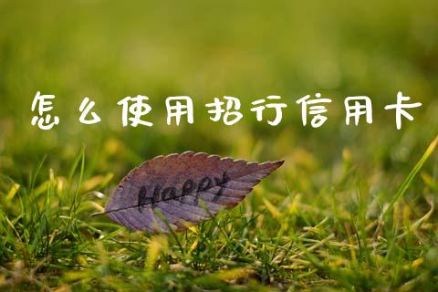怎么使用招行信用卡_https://wap.letulww.com_投资策略_第1张