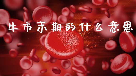牛市末期的什么意思_https://wap.letulww.com_外汇交易_第1张