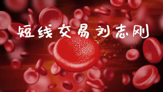 短线交易刘志刚_https://wap.letulww.com_融资租赁_第1张