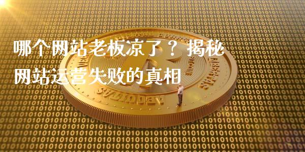 哪个网站老板凉了？ 揭秘网站运营失败的真相_https://wap.letulww.com_外汇交易_第1张