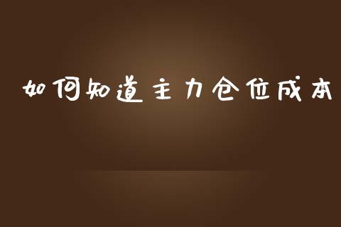 如何知道主力仓位成本_https://wap.letulww.com_投资策略_第1张