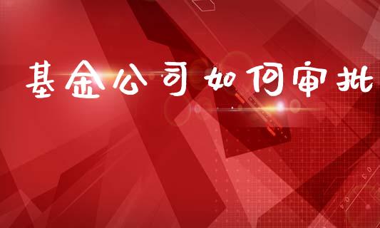 基金公司如何审批_https://wap.letulww.com_融资租赁_第1张
