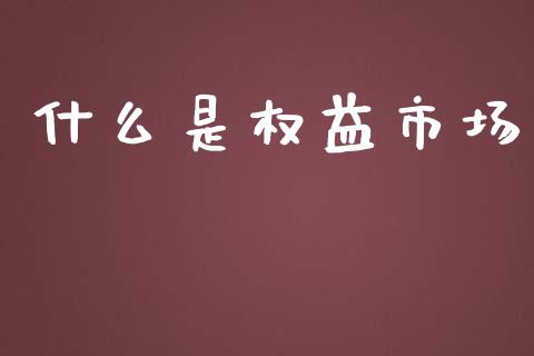 什么是权益市场_https://wap.letulww.com_投资管理_第1张