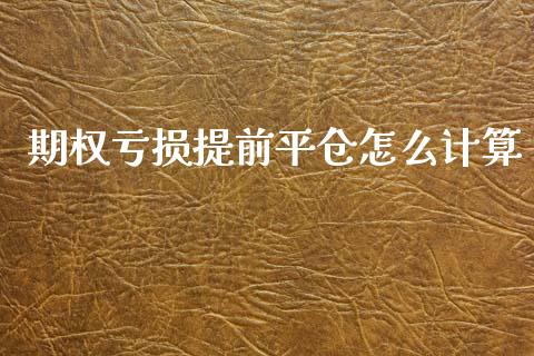 期权亏损提前平仓怎么计算_外汇交易_第1张_外汇交易_投资策略_融资租赁_投资管理 期权亏损提前平仓怎么计算_https://wap.letulww.com_外汇交易_第1张