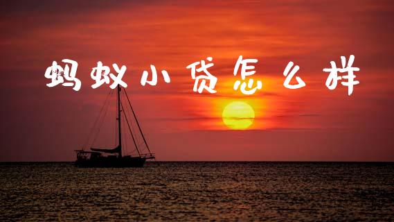蚂蚁小贷怎么样_https://wap.letulww.com_融资租赁_第1张