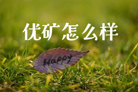 优矿怎么样_https://wap.letulww.com_投资策略_第1张