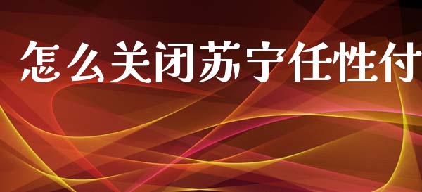 怎么关闭苏宁任性付_https://wap.letulww.com_投资策略_第1张