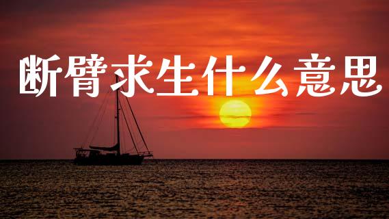 断臂求生什么意思_https://wap.letulww.com_融资租赁_第1张