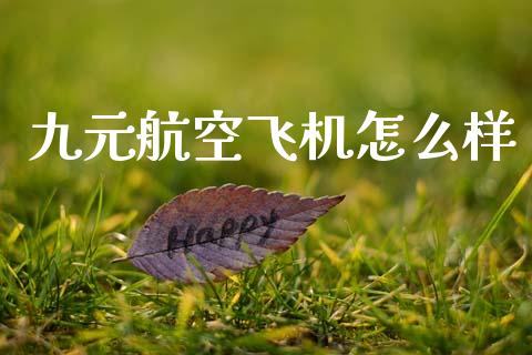 九元航空飞机怎么样_https://wap.letulww.com_投资策略_第1张
