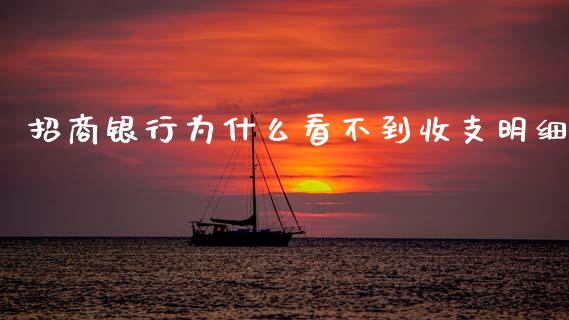 招商银行为什么看不到收支明细_https://wap.letulww.com_融资租赁_第1张