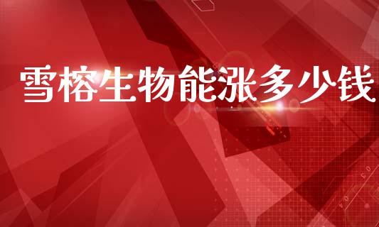 雪榕生物能涨多少钱_https://wap.letulww.com_融资租赁_第1张