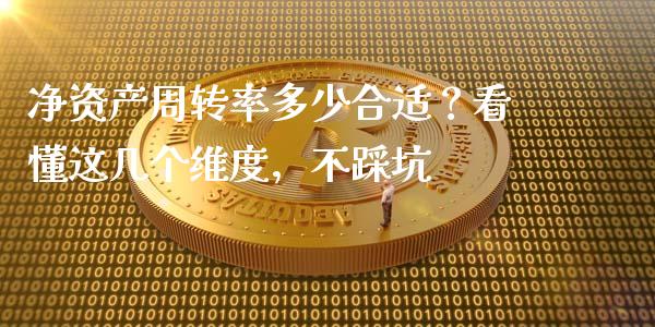 净资产周转率多少合适？看懂这几个维度，不踩坑_https://wap.letulww.com_外汇交易_第1张